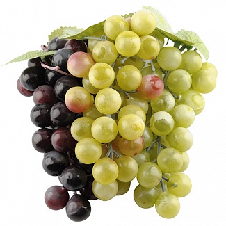 картинка декоративный виноград VINDRUVOR от интернет магазина