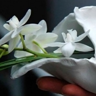 картинка вазы-конверты для одного цветка ENVELOPE от интернет магазина