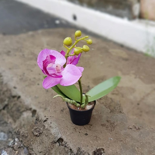 картинка искусственный цветок в горшке PHALAENOPSIS от интернет магазина