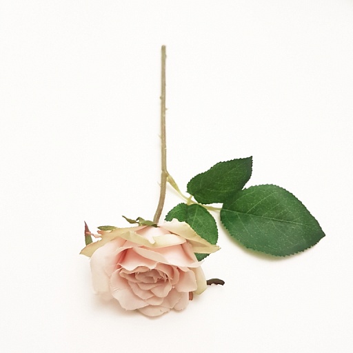 картинка Цветок MINI ROSE от интернет магазина