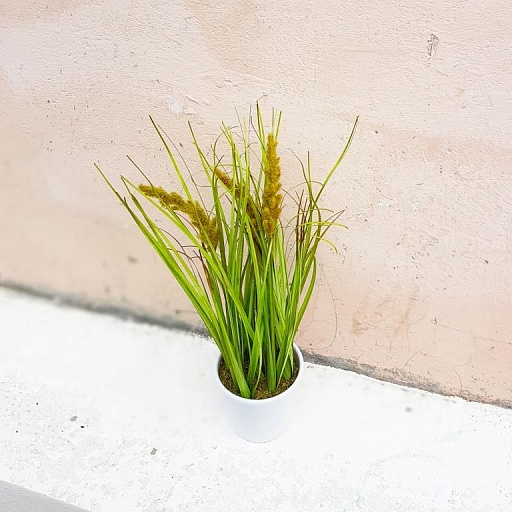 картинка искусственное растение в горшке AHRENGRAS  от интернет магазина