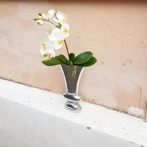 картинка искусственный цветок с корнем PHALAENOPSIS от интернет магазина