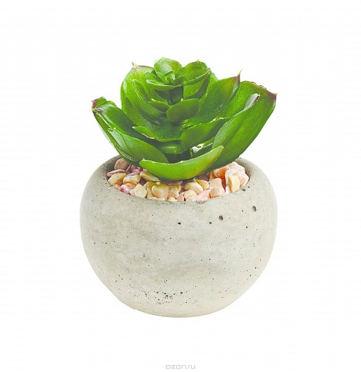 картинка искусственное растение в горшке SUKKULENT от интернет магазина