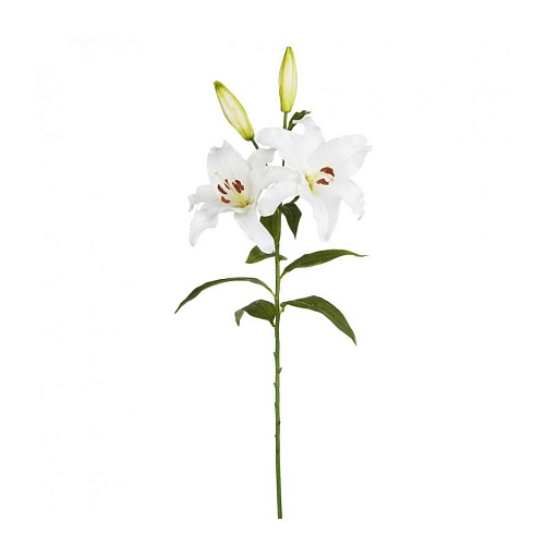 картинка искусственный цветок LILJA от интернет магазина