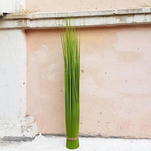 картинка искусственное растение GRAS от интернет магазина