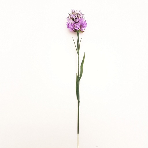 картинка Цветок MINI BLEUET от интернет магазина