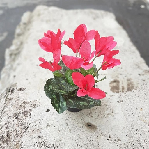 картинка искусственный цветок в кашпо CYKLAMEN от интернет магазина
