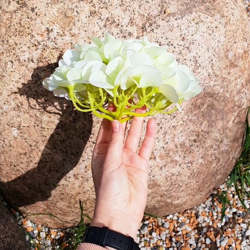 картинка Гортензия соцветие, нежно-салатовый от интернет магазина