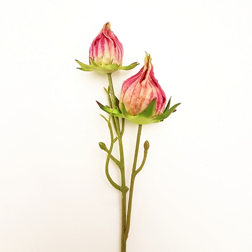 картинка искусственное растение BLOMKNOPP от интернет магазина