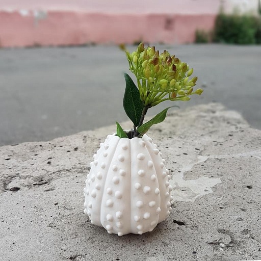 картинка ваза/декор SHELL от интернет магазина
