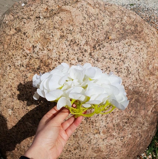 картинка Гортензия соцветие, белый от интернет магазина