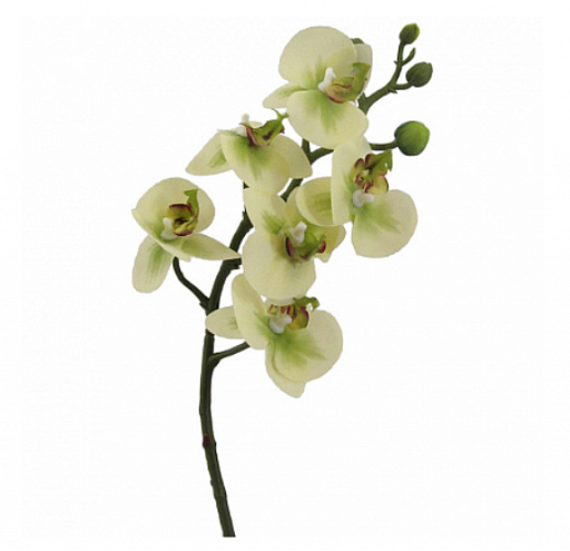 картинка искусственный цветок PHALAENOPSIS от интернет магазина