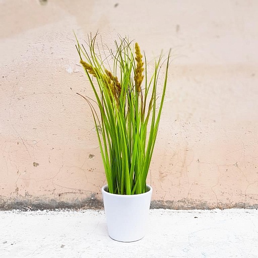картинка искусственное растение в горшке AHRENGRAS  от интернет магазина
